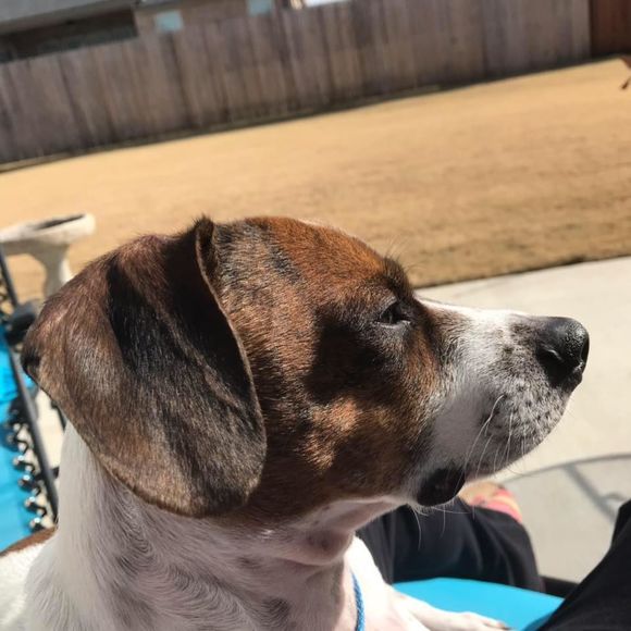 Meet your Posher, Brad - Picture 1 of 1